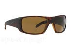 Γυαλιά Ηλίου Arnette LA PISTOLA 4179 215283 Polarized