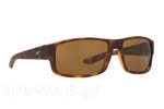 Γυαλιά Ηλίου Arnette BOXCAR 4224 232183 polarized